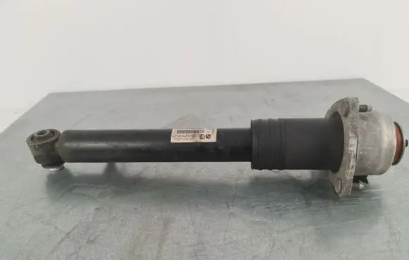 BMW X6 E71 Rear shock absorber/damper 6783018