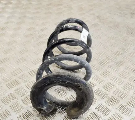 Tesla Model 3 Rear coil spring 104447291E