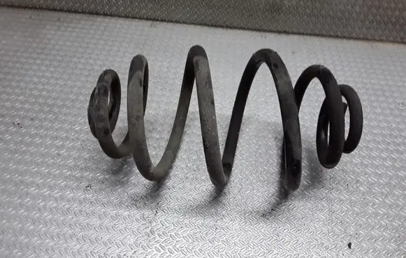 Volkswagen PASSAT B5.5 Rear coil spring