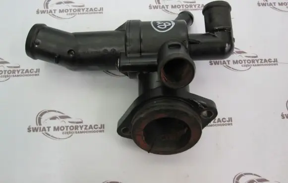 Thermostat/thermostat housing