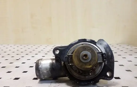 Thermostat/thermostat housing
