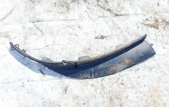 Front bumper lip