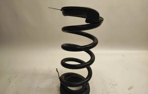 Ford Mustang VI Rear coil spring JR3C5560 JR3C5560KA