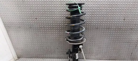 Ford Transit - Tourneo Connect Front shock absorber/damper DV61-18045-LC