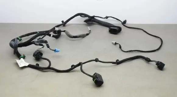 Rear door wiring loom