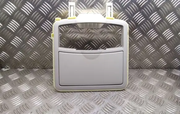 Nissan Leaf I (ZE0) Sunglasses storage box 