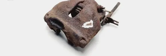Volkswagen PASSAT B5 Front brake caliper