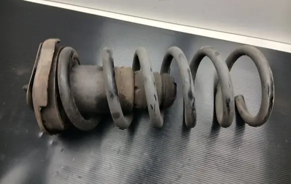 Rear coil spring