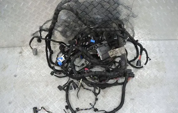 Alfa Romeo Giulia Other wiring loom