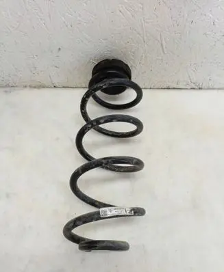 Rear coil spring