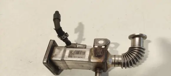 Renault Scenic II - Grand scenic II EGR valve cooler 50006603 H7700107471 8200360566A