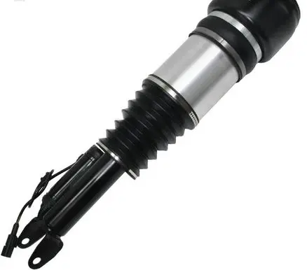 Mercedes-Benz CLS AMG C219 Front air suspension shock absorber a2193201113