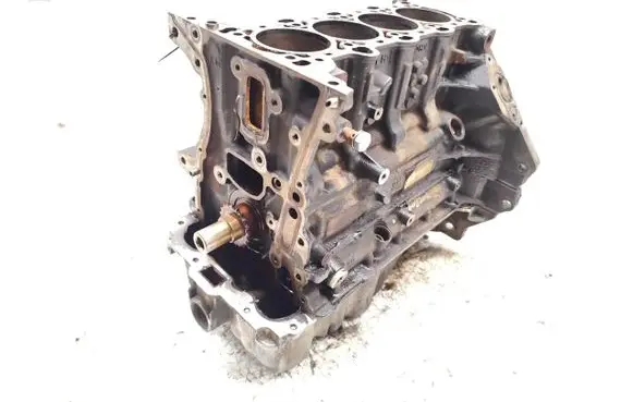 Opel Cascada Engine swap B14NET