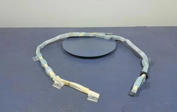 Toyota Prius (NHW20) Roof airbag