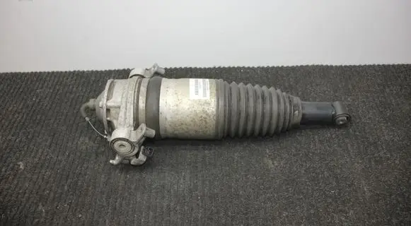 Porsche Cayenne (92A) Rear shock absorber/damper 7P5616019AB 7P5616503C