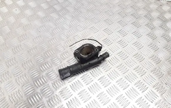 Thermostat/thermostat housing