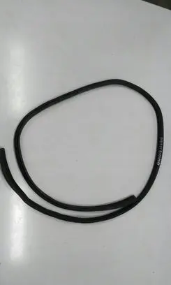 Ford Ecosport Rubber seal rear door 