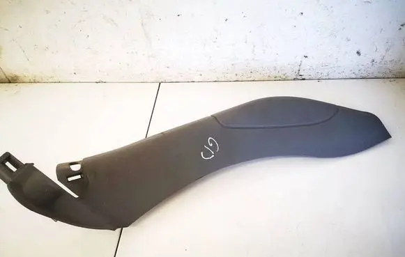 Renault Laguna II Other interior part 8200074594