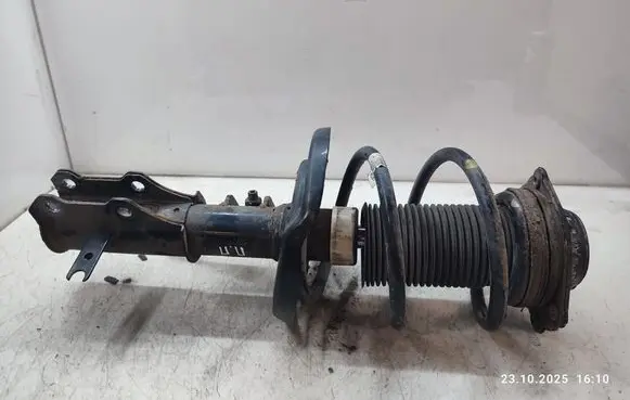Opel Insignia B Front shock absorber with coil spring
