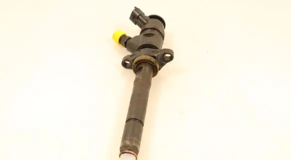 Citroen C5 Fuel injector 0445110297