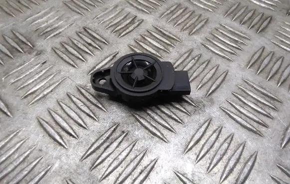Nissan Leaf I (ZE0) Front door high frequency speaker 281E13NA0A