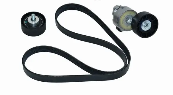 Iveco Daily 4th gen Alternator belt 500055845