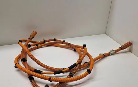 Other wiring loom