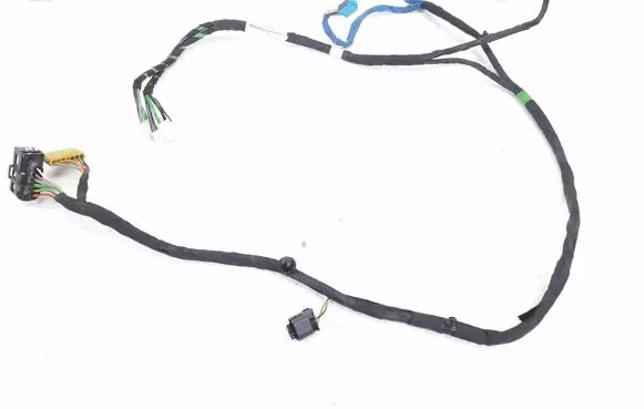 Front door wiring loom