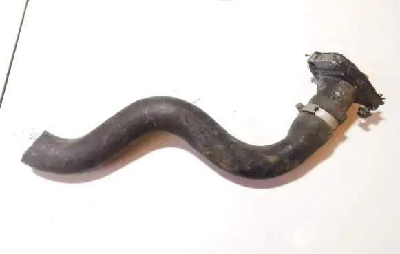 Fiat Punto (188) Engine coolant pipe/hose v158387
