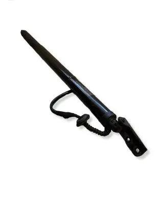 Nissan Ariya Tailgate strut 905605MP0A