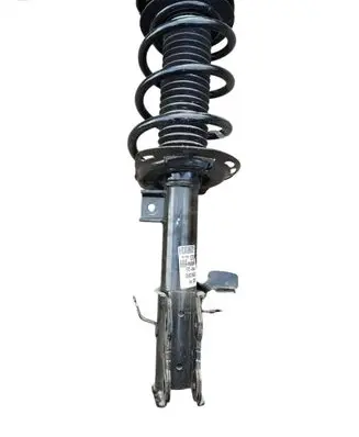 Ford Kuga III Front shock absorber with coil spring LX61-18045-SDF