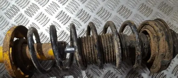 Seat Toledo I (1L) Rear coil spring