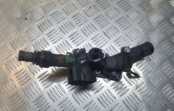 Thermostat/thermostat housing