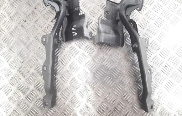Renault Latitude (L70) Engine bonnet/hood hinges 654000010R 654010010R