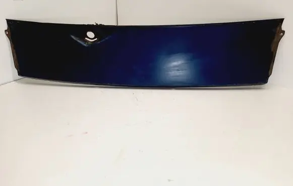 Mercedes-Benz W123 Wiper trim