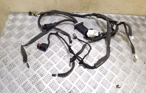 Chevrolet Captiva Front door wiring loom 95083459