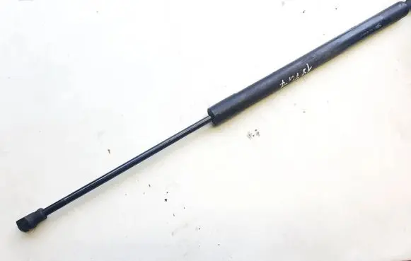 Renault Scenic III - Grand scenic III Tailgate/trunk strut/damper 904500004r