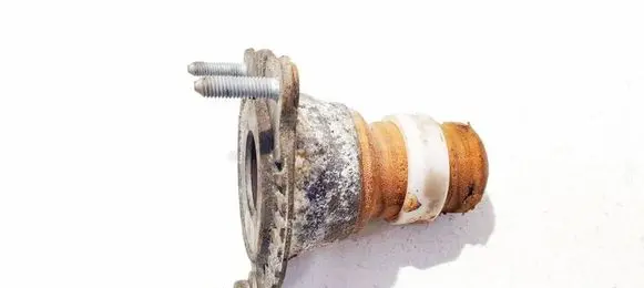 Coil spring mount