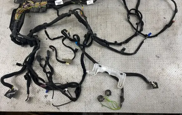 Citroen Berlingo Panel wiring 9820529680