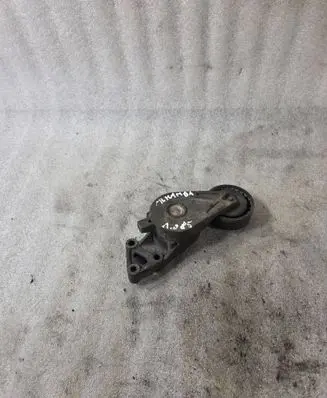 Seat Alhambra (Mk1) Alternator belt tensioner 038903315