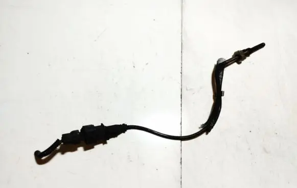 Exhaust gas temperature sensor