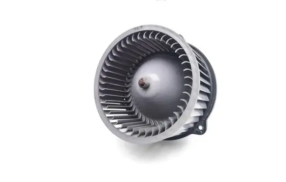Hyundai Santa Fe Heater fan/blower F00S3B2431