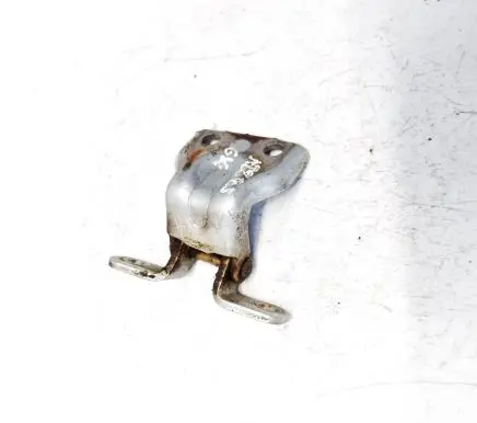 Rear door lower hinge