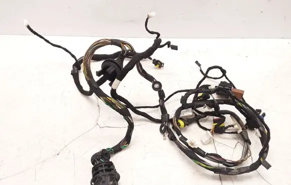 Rear door wiring loom