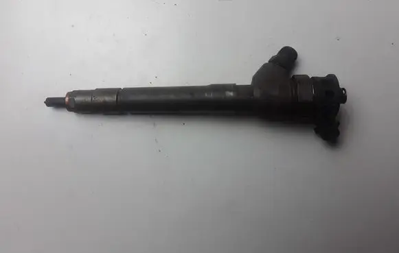 Renault Scenic III - Grand scenic III Fuel injector 0445110414