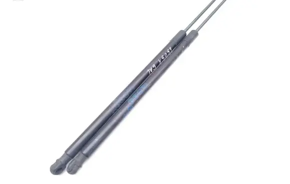 Tailgate/trunk strut/damper
