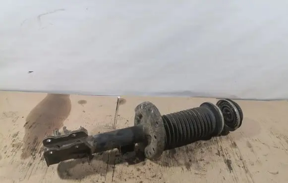 Fiat Punto (188) Front shock absorber/damper
