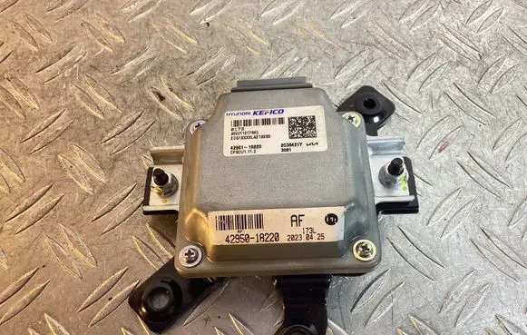 KIA EV6 Other control units/modules 4295118220 4295018220