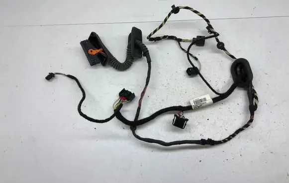 Volkswagen PASSAT CC Rear door wiring loom 3C8971694CH