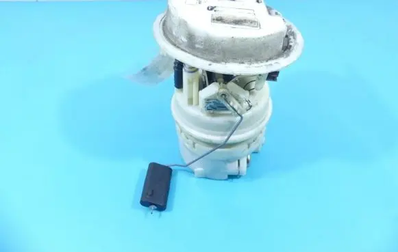 Peugeot 807 In-tank fuel pump IMPRK1335819